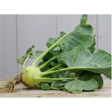 Organic Kohl Rabi Superschmelz